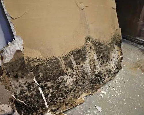 Basement Water Damage Restoration by Buk Restoration in Pioneer, ID