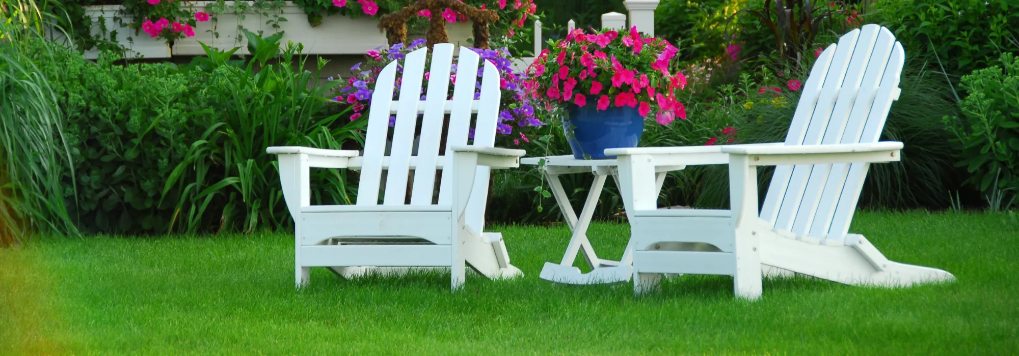 Lawn Care expertise by Emerald Lawns