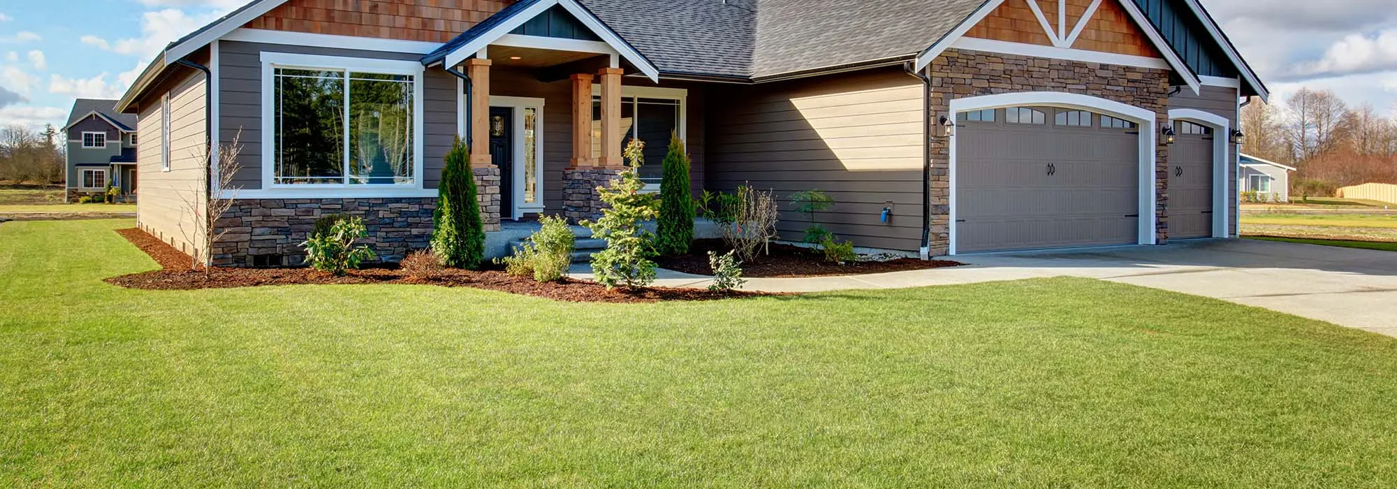 Tree & Shrub Care expertise by Emerald Lawns