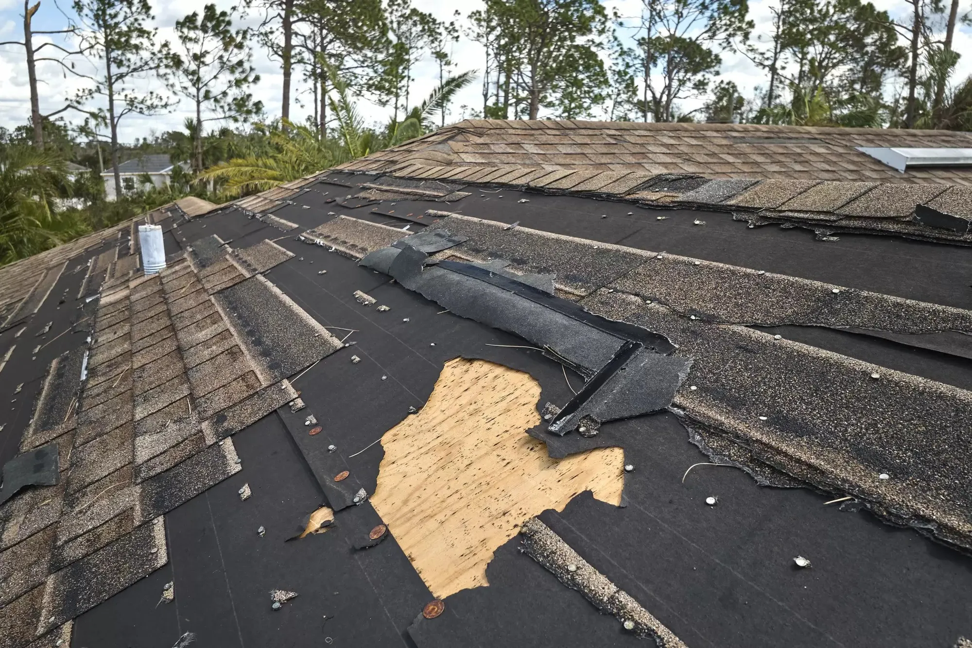 Roof Repair expertise by Buzzworthy Roofing & Siding