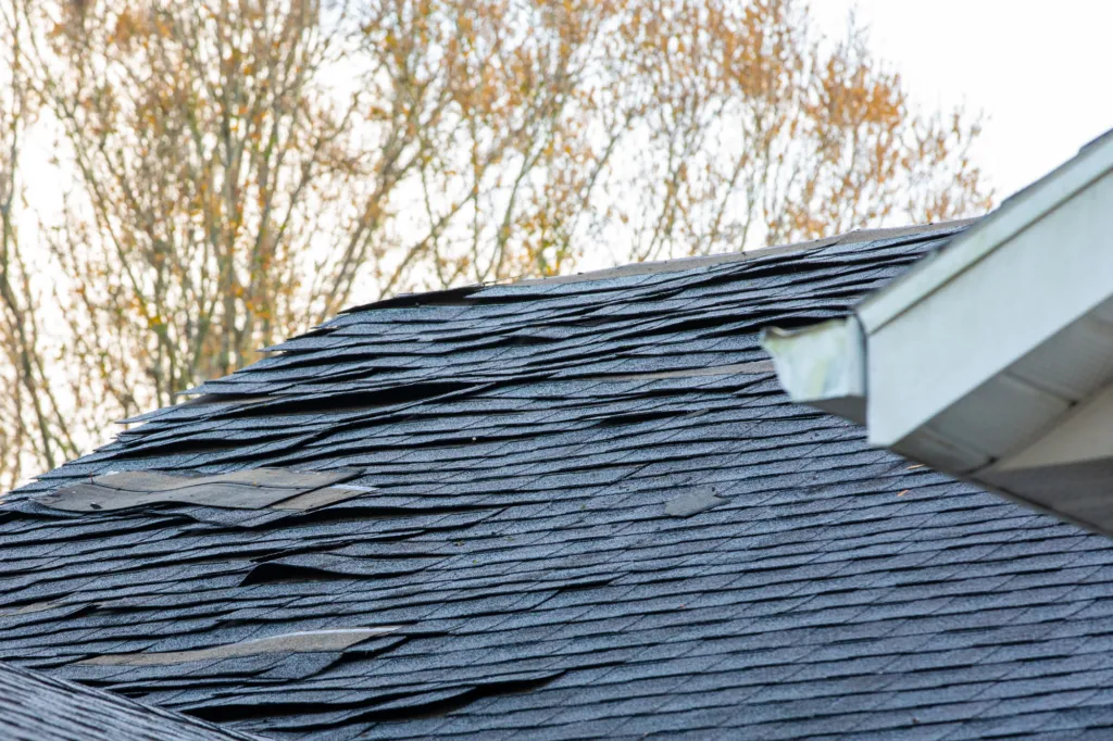Why choose Buzzworthy Roofing & Siding for Roof Repair