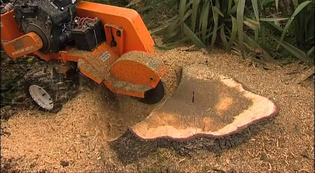 Stump Grinding expertise by Jimenez Tree Services