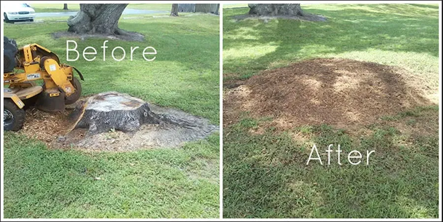 Why choose Jimenez Tree Services for Stump Grinding