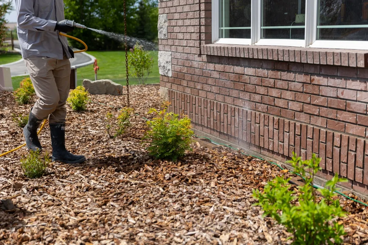 Perimeter Pest Control expertise by A & A Lawn Care