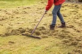 Lawn Dethatching expertise by A & A Lawn Care