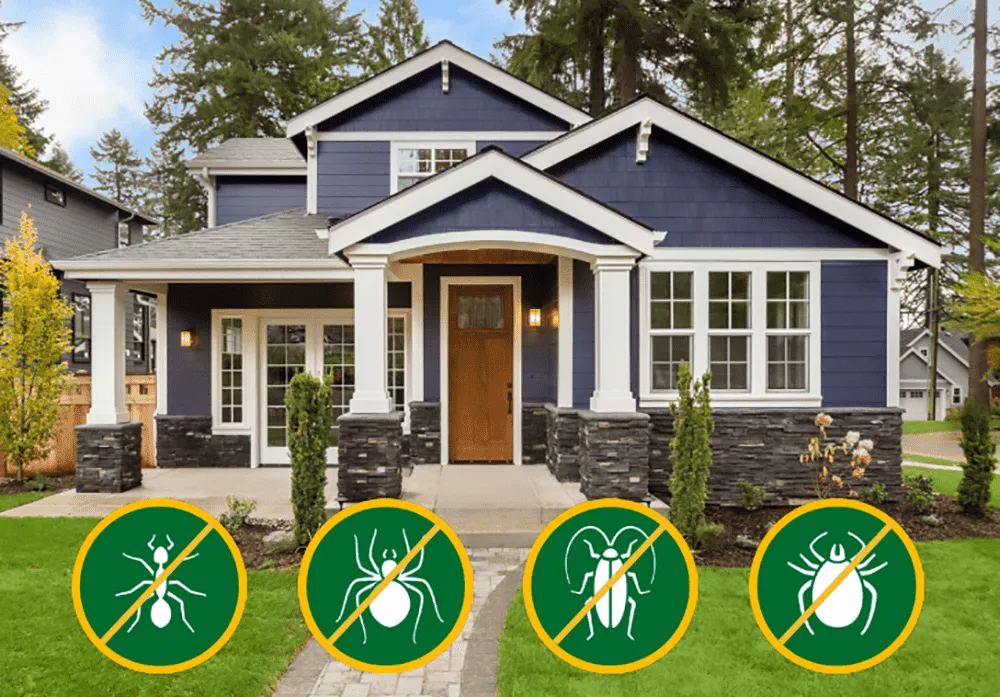 Why choose A & A Lawn Care for Perimeter Pest Control