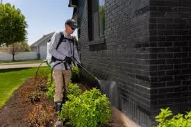 Perimeter Pest Control by A & A Lawn Care in New Braunfels, TX
