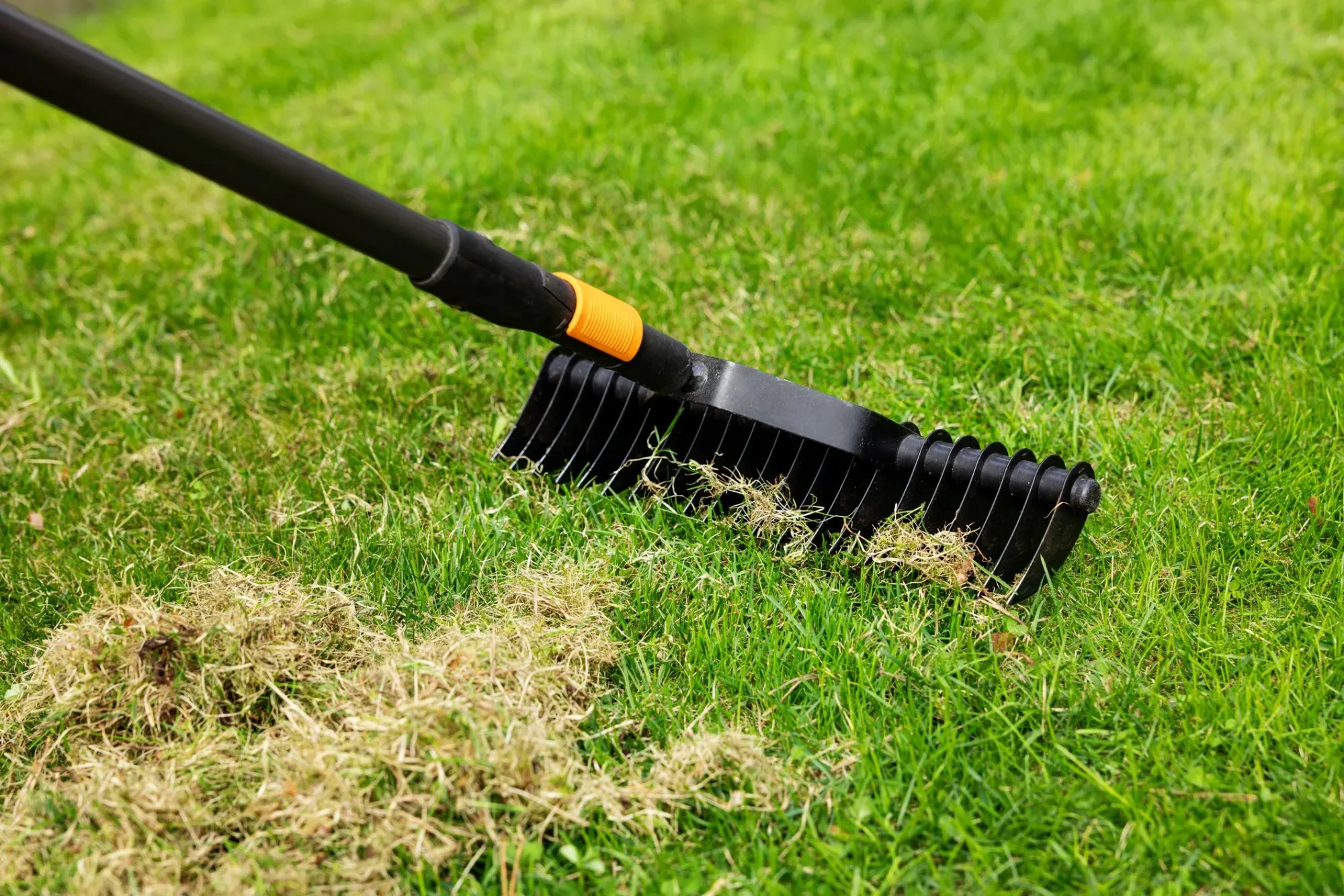 Lawn Dethatching by A & A Lawn Care in Westhaven, TX