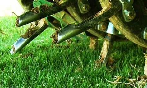 Why choose A & A Lawn Care for Core Aeration