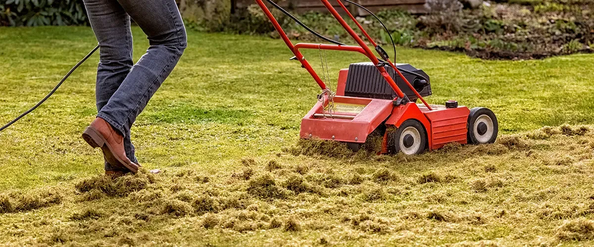 Why choose A & A Lawn Care for Lawn Dethatching
