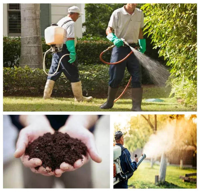Weed Treatment by A & A Lawn Care in New Braunfels, TX