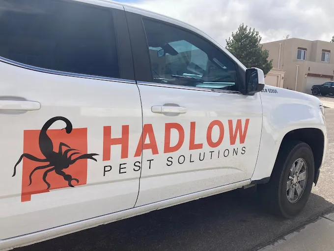 Pest control service by Hadlow Pest Solutions Albuquerque in Cañada Village