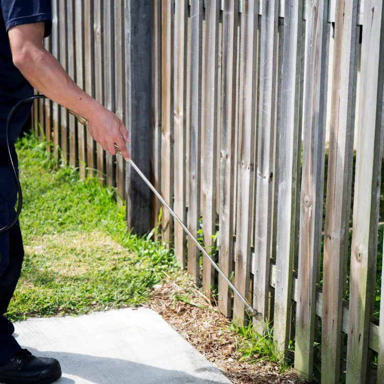 Why choose Source Pest Control for Ant Control