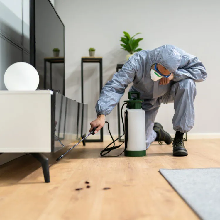 General Pest Control expertise by Source Pest Control