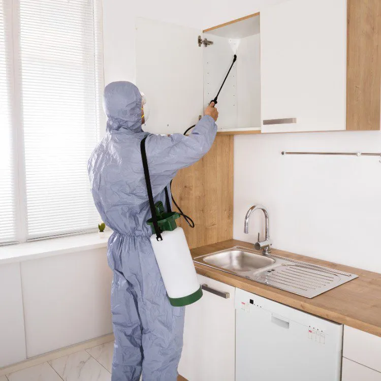 General Pest Control by Source Pest Control in Windsor Crest