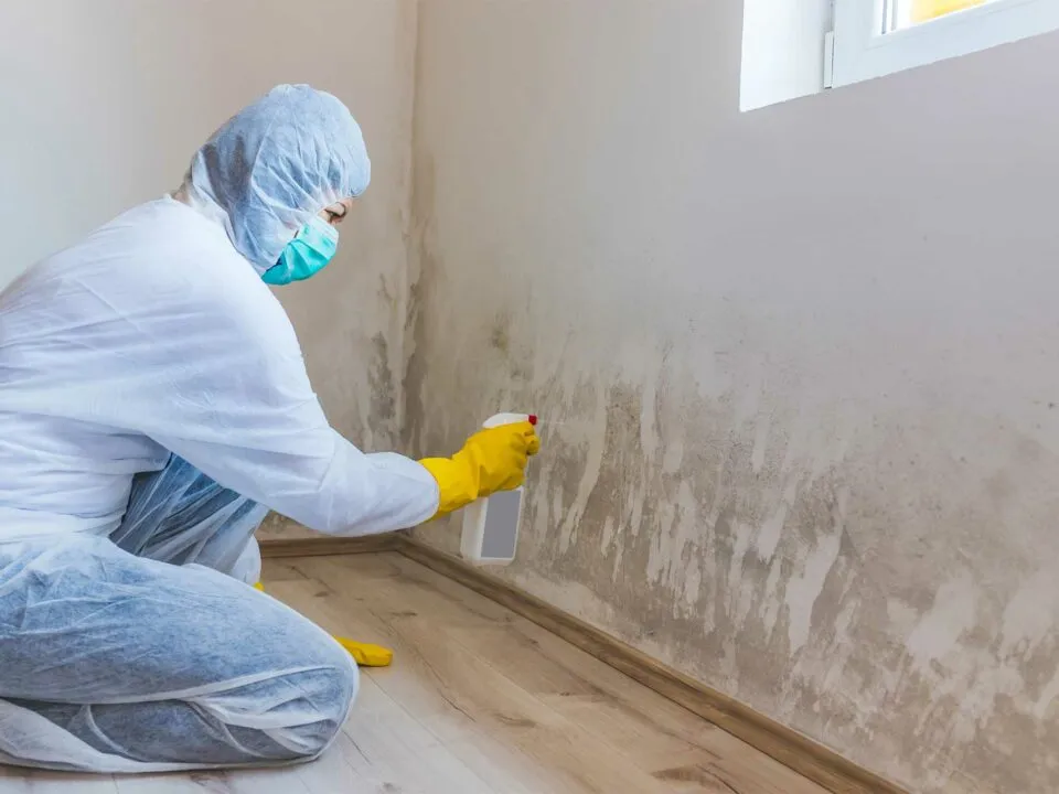 Why choose Fast Affordable Restoration for Mold Removal & Remediation