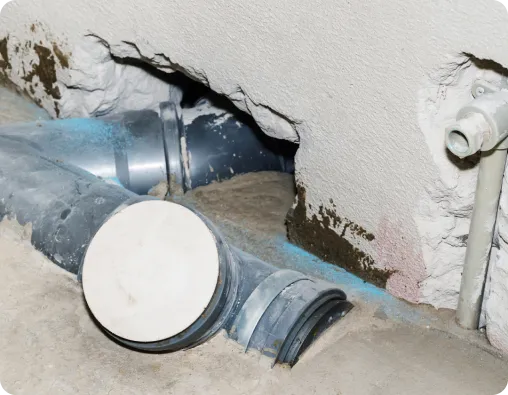 Sewage Removal and Sanitation expertise by Fast Affordable Restoration