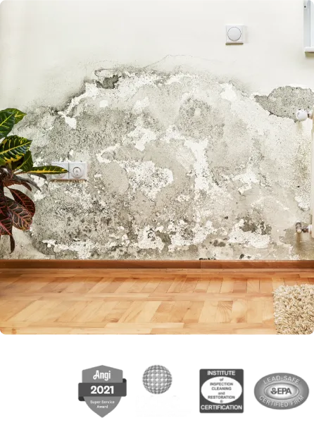 Water Damage Restoration expertise by Fast Affordable Restoration