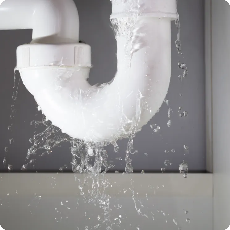 Why choose Fast Affordable Restoration for Water Damage Restoration