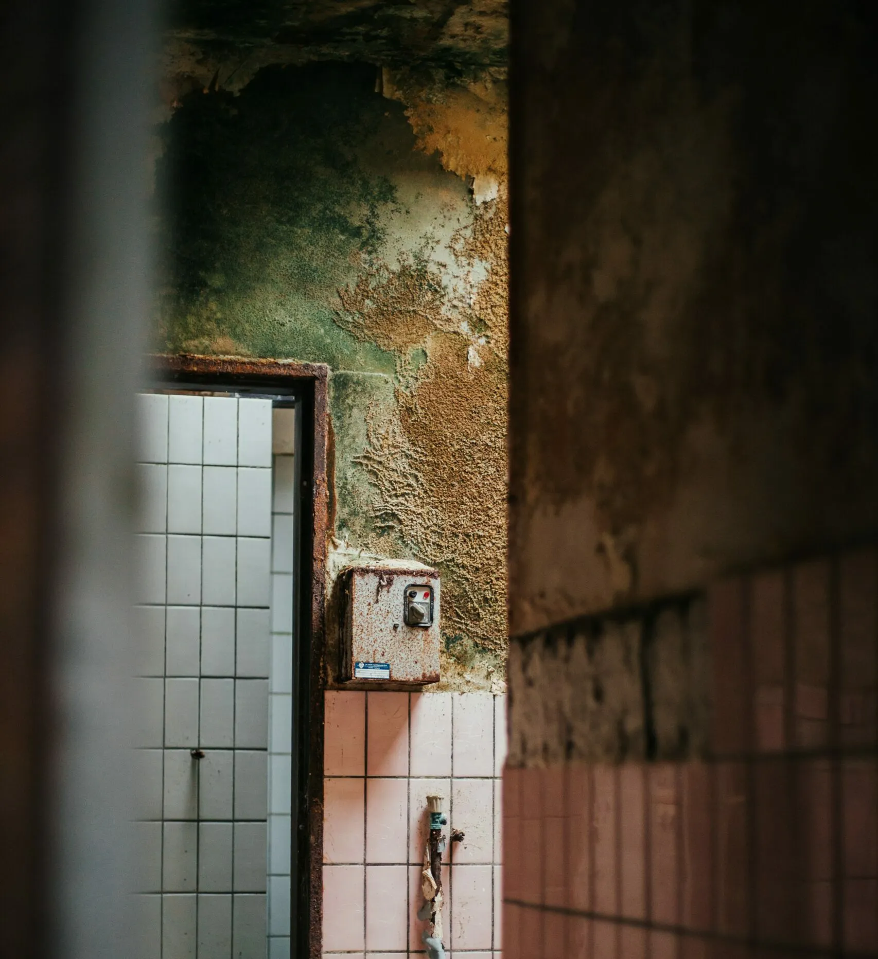 Why choose Fast Affordable Restoration for Mold Remediation