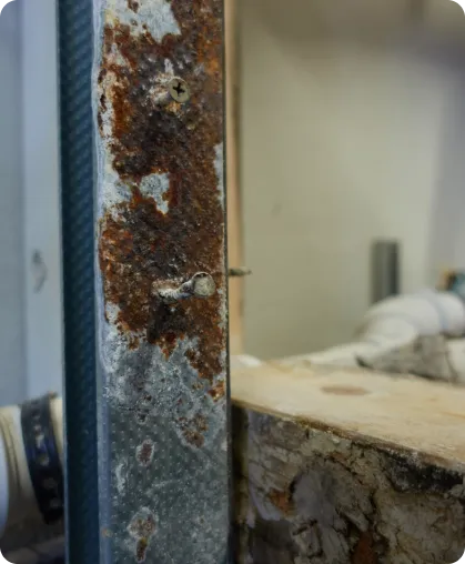 Mold Removal & Remediation expertise by Fast Affordable Restoration