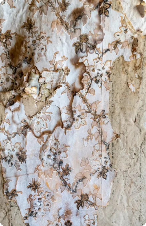 Sewage Backup Cleanup by Fast Affordable Restoration in Flinn Springs