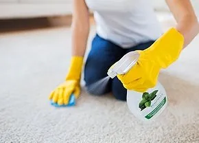 Professional Cleaning Services Expertise By Elevate Pro Restoration