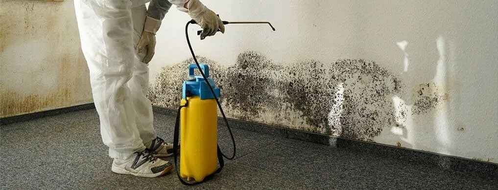 Why choose Elevate Pro Restoration for Water Damage Repair