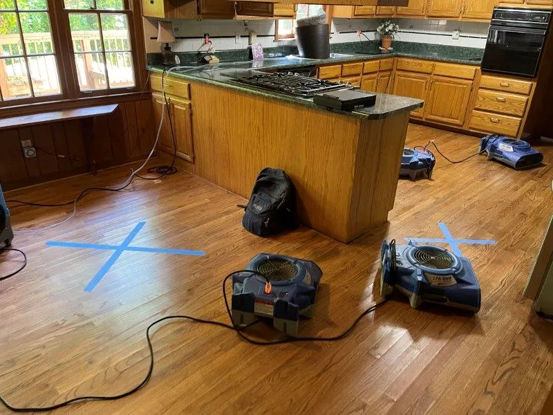 Moisture Detection And Mitigation By Elevate Pro Restoration In Mcneil