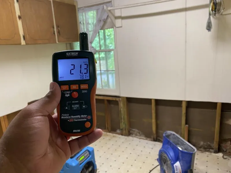 Why Choose Elevate Pro Restoration For Moisture Detection And Mitigation