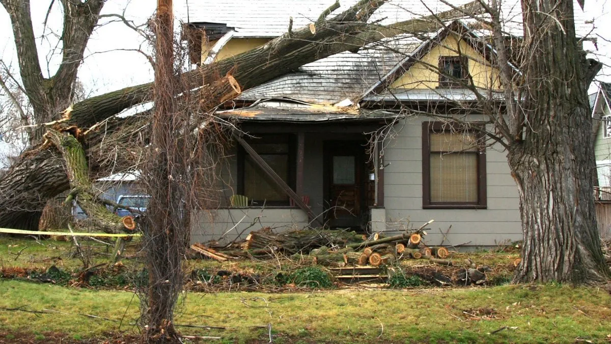 Storm Damage Repair Expertise By Elevate Pro Restoration