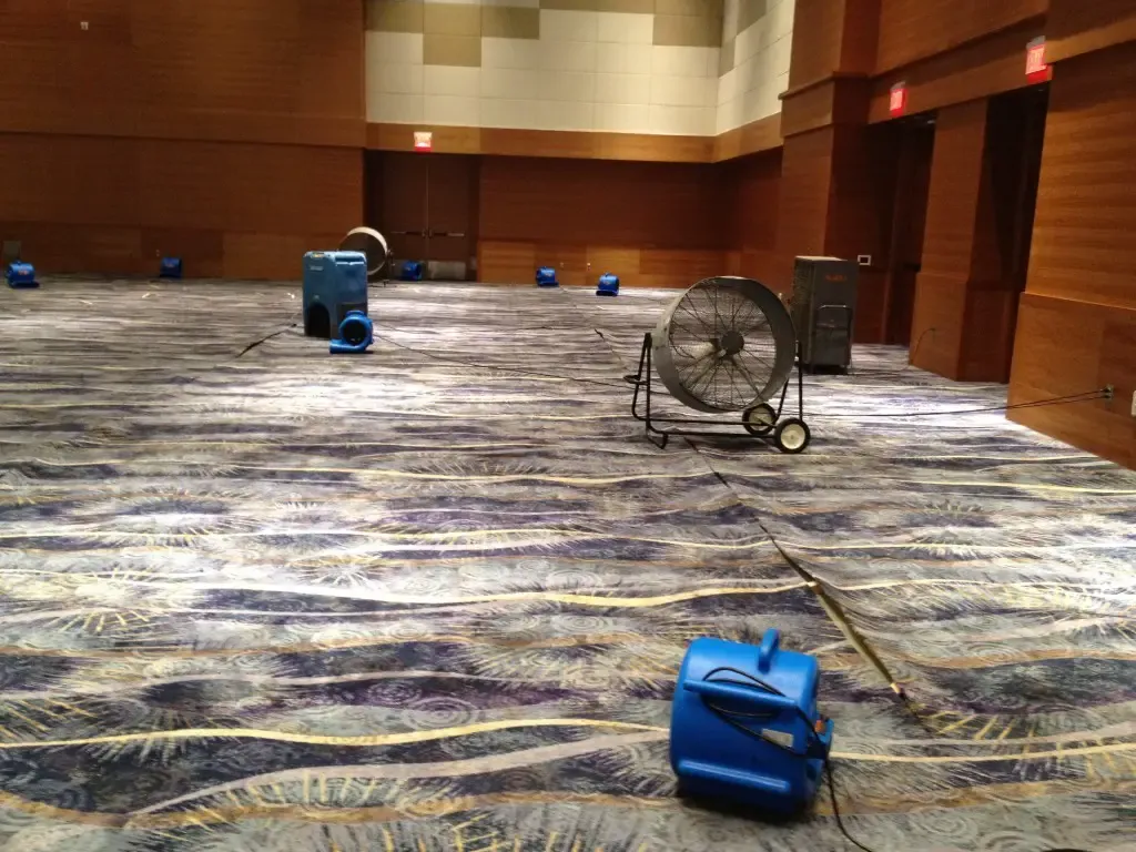 Water Damage Restoration by Ameri Pro Restoration in Oneida Township